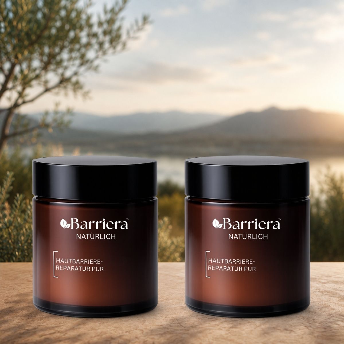 Barriera DE