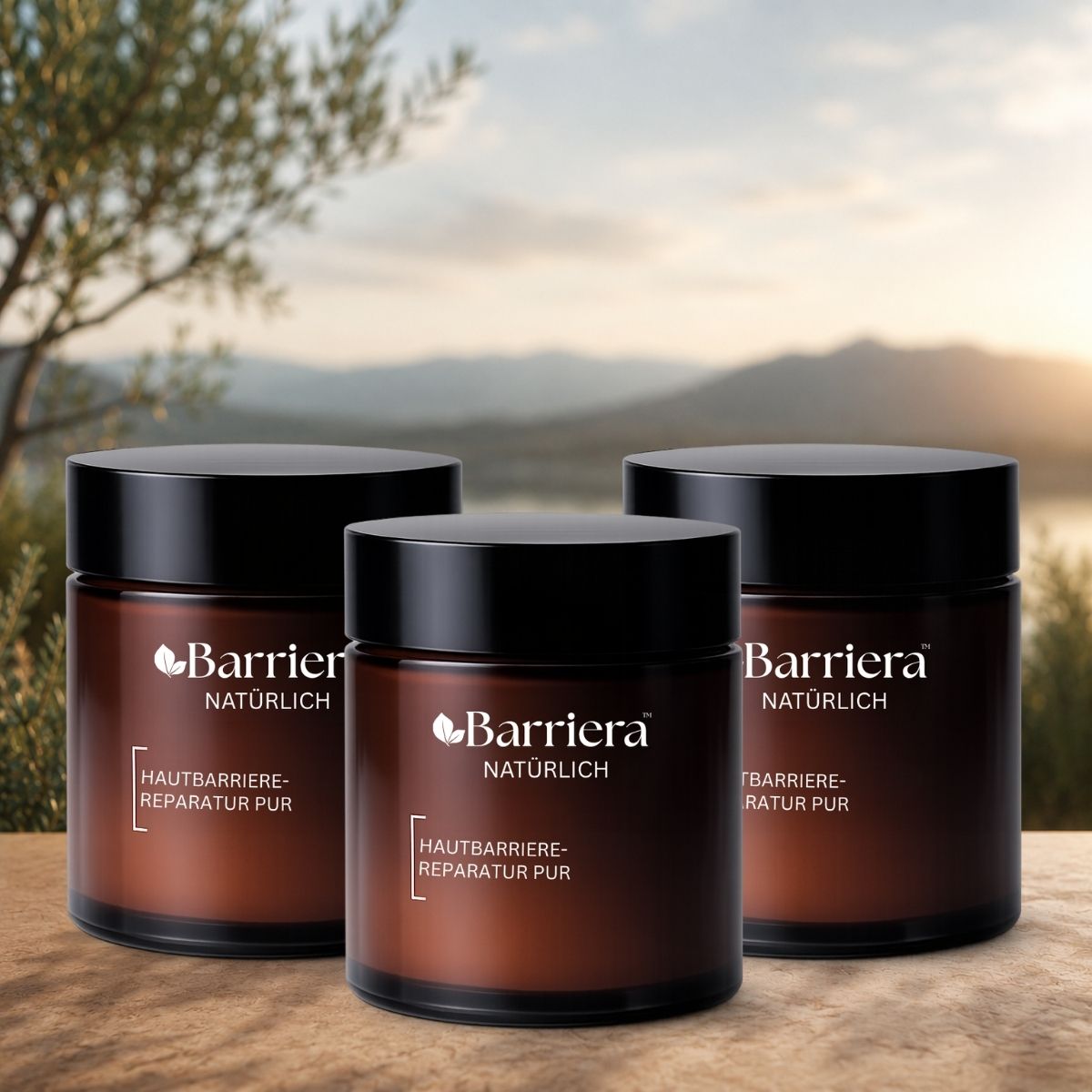 Barriera DE