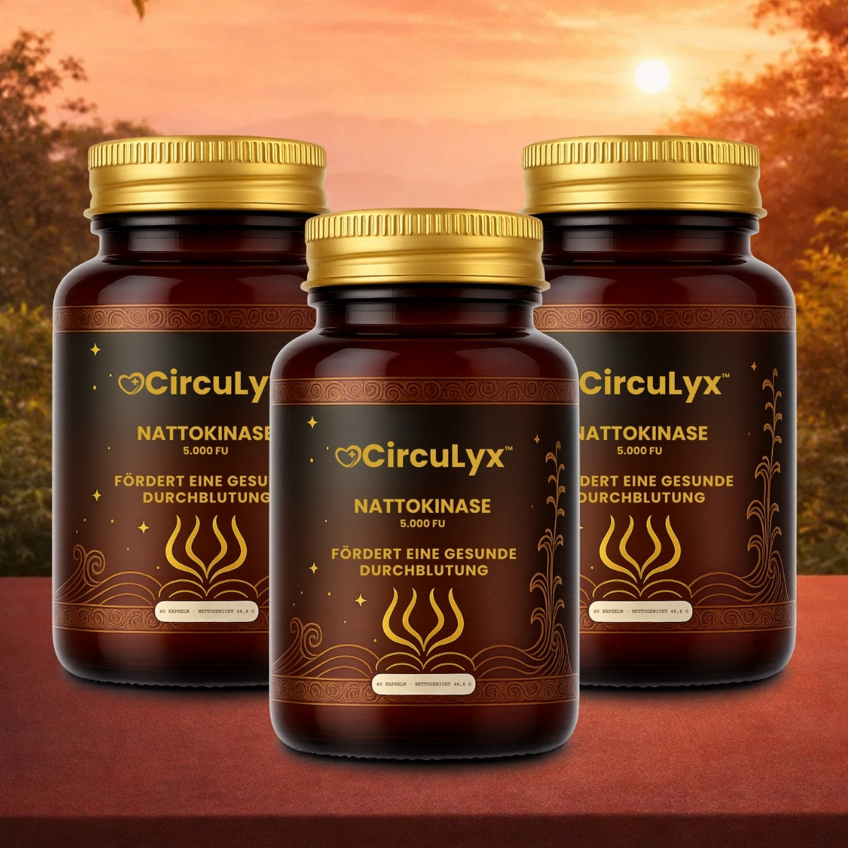 CircuLyx DE